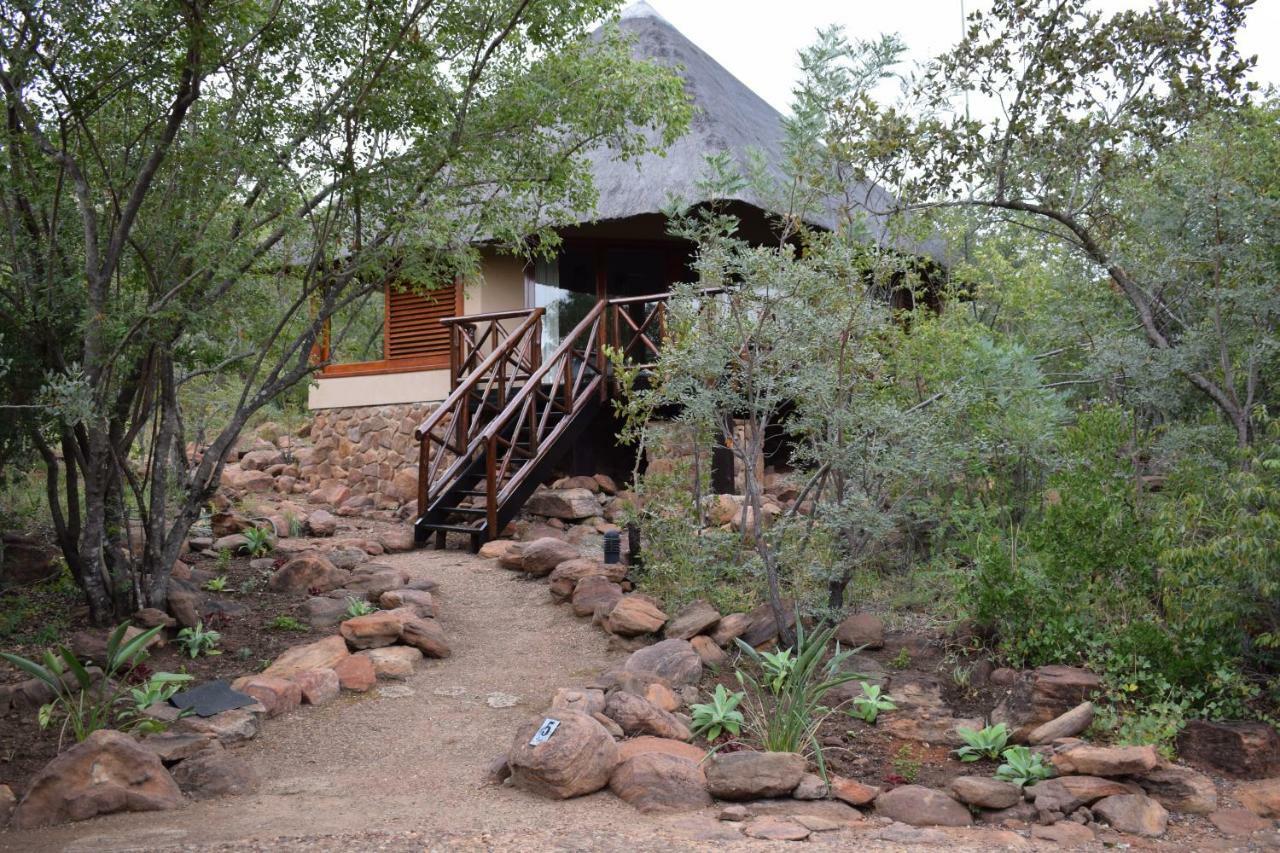 Sekala Private Game Lodge Welgevonden Game Reserve Bagian luar foto